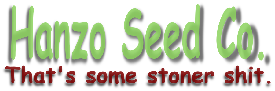 17oz Frosted Water Bottle | Frosted Ombre Gradient Glass Tumbler | Glass Water Bottle (hanzo seed co. "That's some stoner shit") logo - Image 2